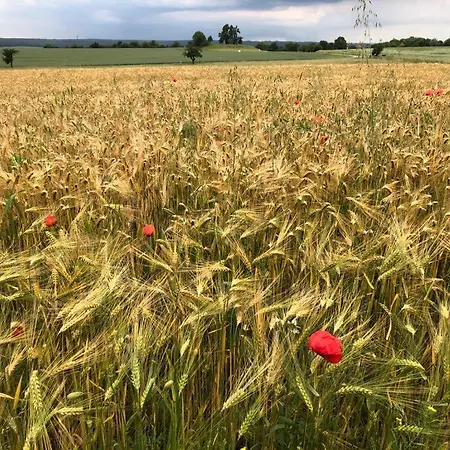 An Der Stadtmauer 아파트