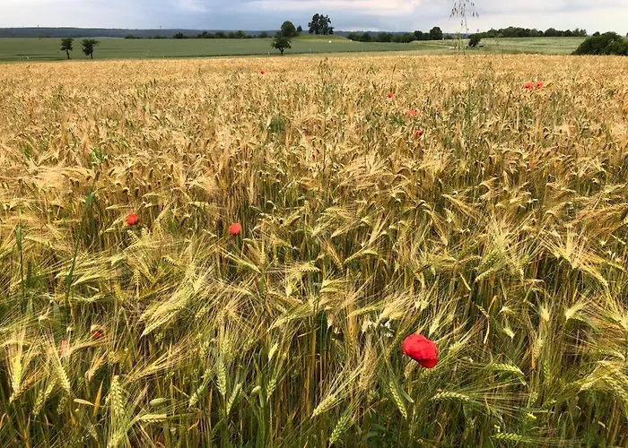 An Der Stadtmauer Apartmán