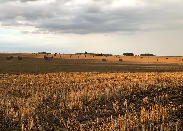 An Der Stadtmauer Apartmán Burgel (Thuringia)