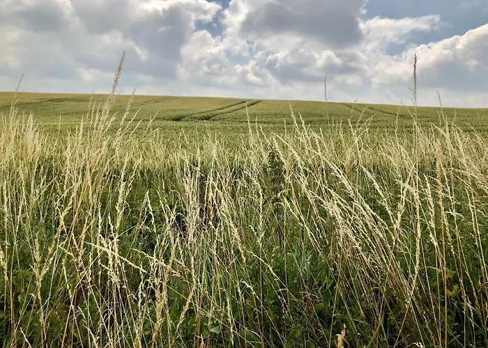 Apartmán An Der Stadtmauer